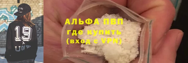 гашик Аркадак
