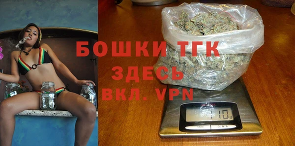 гидра Арсеньев