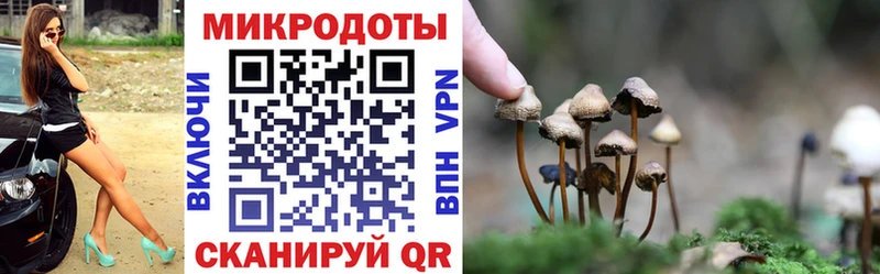 Галлюциногенные грибы Psilocybe Орлов